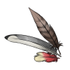 Feather Decor