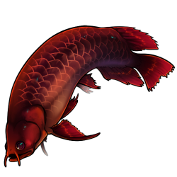 Arowana