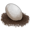 Random Egg